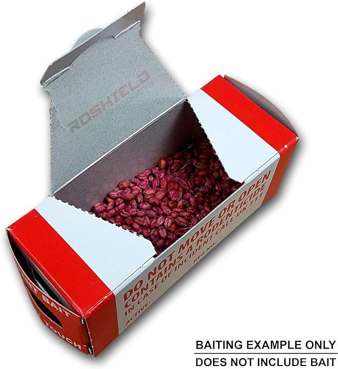 8de5e1ee 6b13 4cd6 adbb ec7b9d13c8f1. CR0,0,1464,600 PT0 SX1464 V1