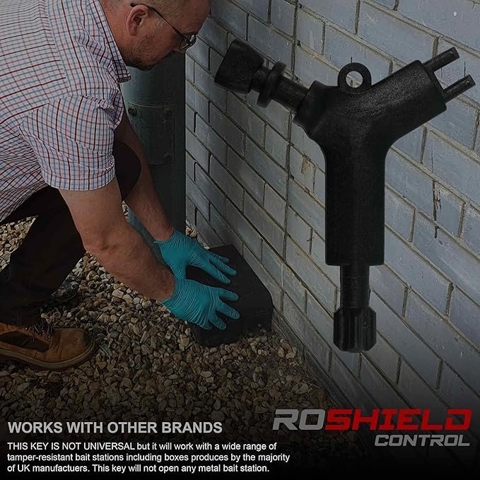 f22ef614 4b31 4a9c 8e93 791b67ef1fc1. CR0,0,1464,600 PT0 SX1464 V1