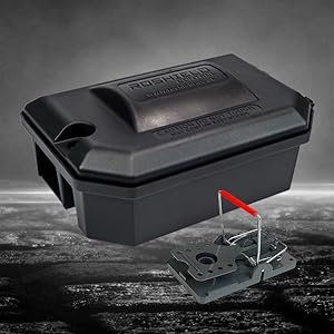 15759d71 9033 42a2 b369 665e27c0b0e9. CR0,0,1464,600 PT0 SX1464 V1