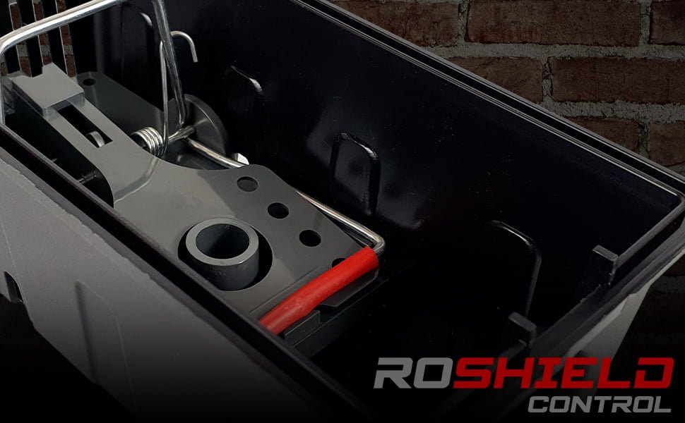 15759d71 9033 42a2 b369 665e27c0b0e9. CR0,0,1464,600 PT0 SX1464 V1