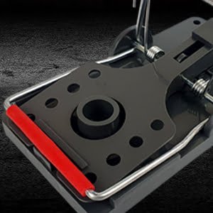 8de5e1ee 6b13 4cd6 adbb ec7b9d13c8f1. CR0,0,1464,600 PT0 SX1464 V1