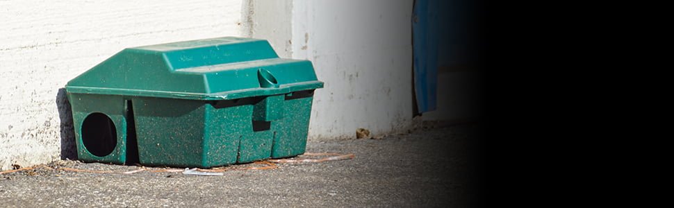 15759d71 9033 42a2 b369 665e27c0b0e9. CR0,0,1464,600 PT0 SX1464 V1