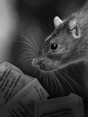 c3d9e6a9 85b4 44ac b729 071b9553b4a1. CR0,0,1464,600 PT0 SX1464 V1