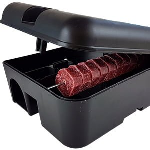 15759d71 9033 42a2 b369 665e27c0b0e9. CR0,0,1464,600 PT0 SX1464 V1