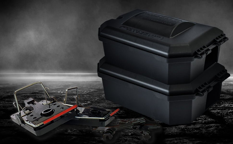 15759d71 9033 42a2 b369 665e27c0b0e9. CR0,0,1464,600 PT0 SX1464 V1