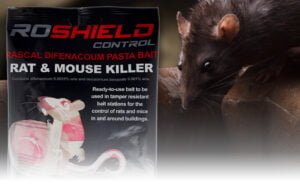 f22ef614 4b31 4a9c 8e93 791b67ef1fc1. CR0,0,1464,600 PT0 SX1464 V1