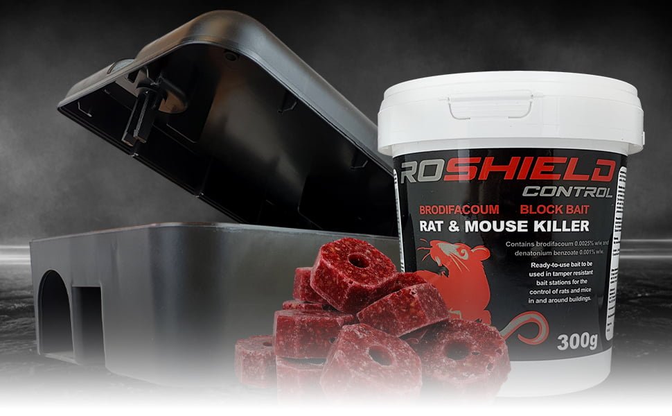 15759d71 9033 42a2 b369 665e27c0b0e9. CR0,0,1464,600 PT0 SX1464 V1