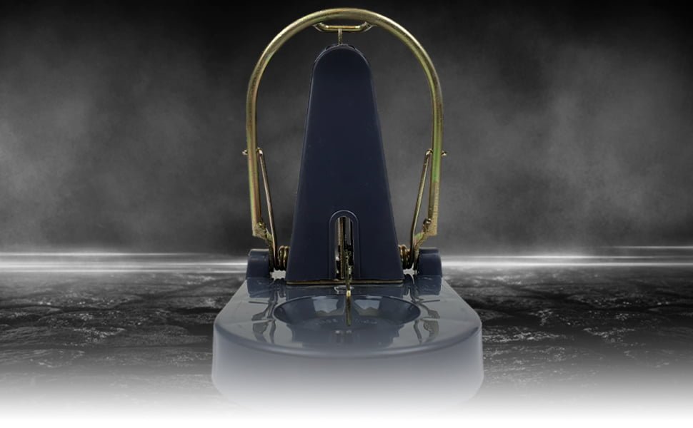 15759d71 9033 42a2 b369 665e27c0b0e9. CR0,0,1464,600 PT0 SX1464 V1