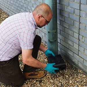 8de5e1ee 6b13 4cd6 adbb ec7b9d13c8f1. CR0,0,1464,600 PT0 SX1464 V1