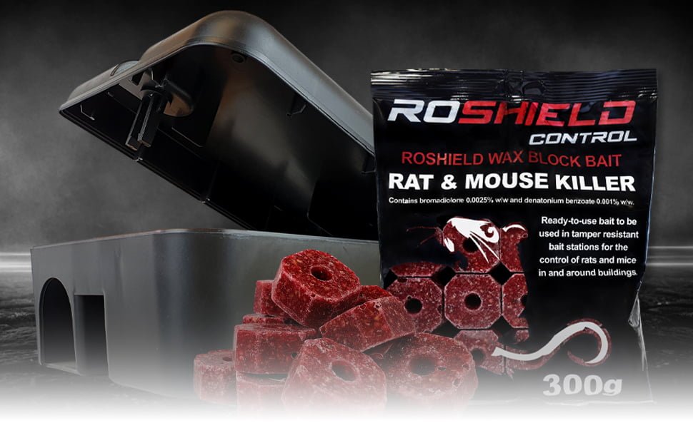 15759d71 9033 42a2 b369 665e27c0b0e9. CR0,0,1464,600 PT0 SX1464 V1