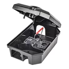 Rat trap set in box