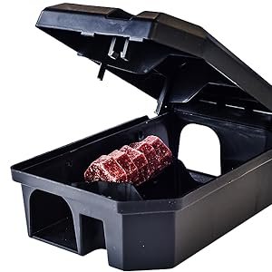 15759d71 9033 42a2 b369 665e27c0b0e9. CR0,0,1464,600 PT0 SX1464 V1