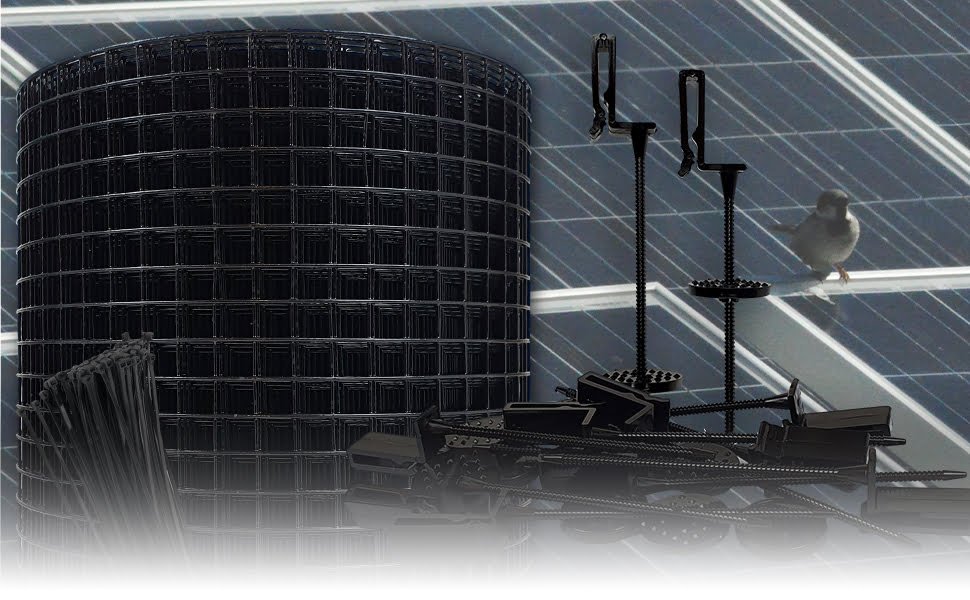 8de5e1ee 6b13 4cd6 adbb ec7b9d13c8f1. CR0,0,1464,600 PT0 SX1464 V1