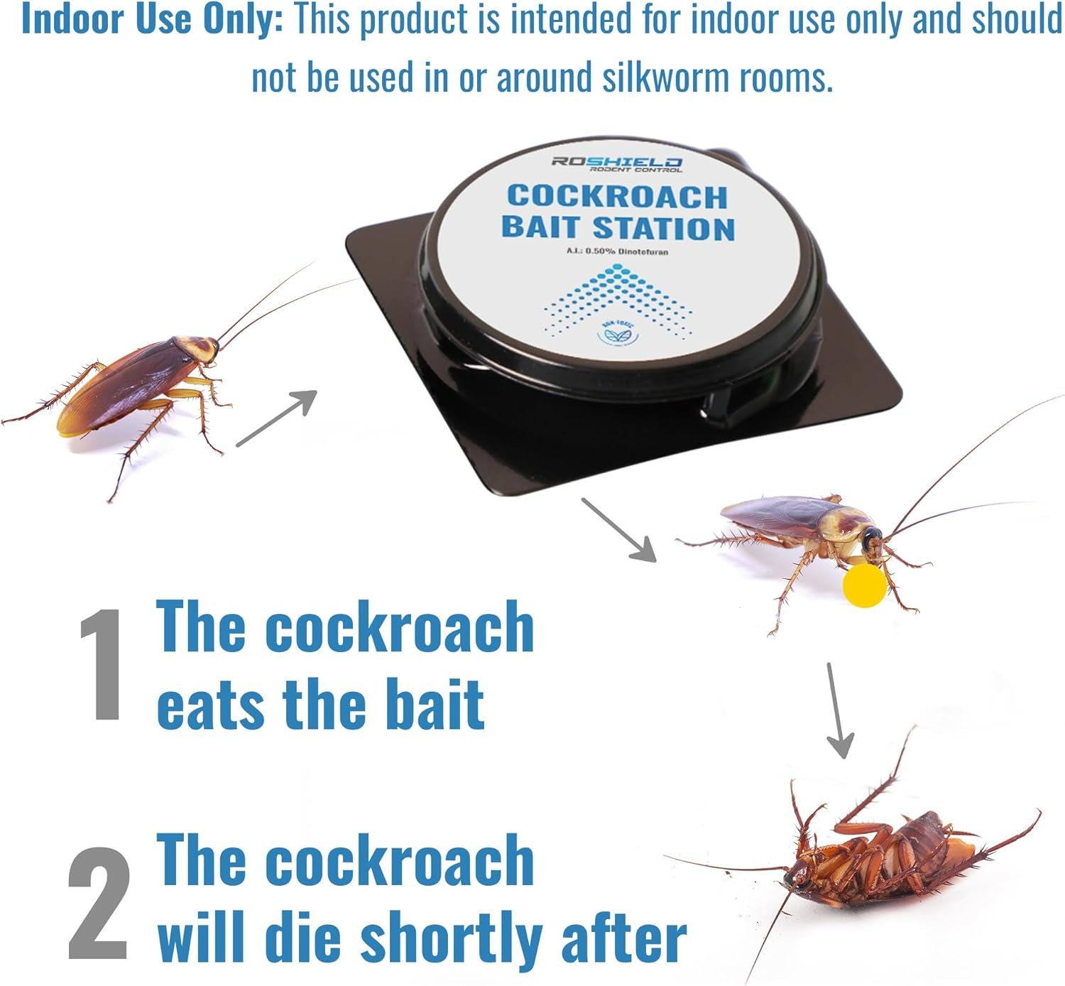 81lBPaNsBPL. AC SX679 150x150