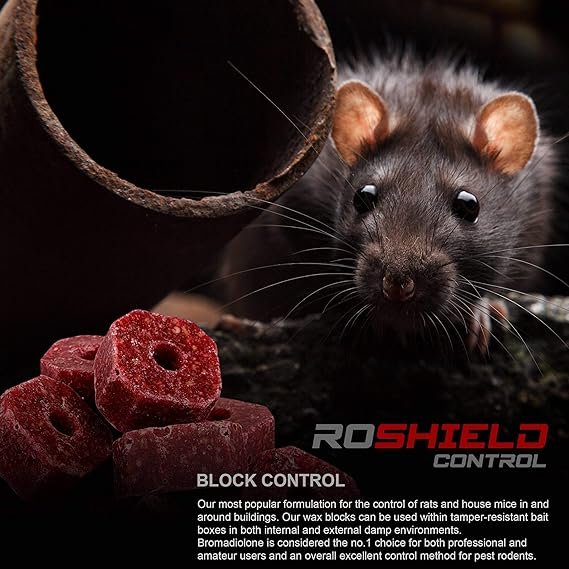 f22ef614 4b31 4a9c 8e93 791b67ef1fc1. CR0,0,1464,600 PT0 SX1464 V1