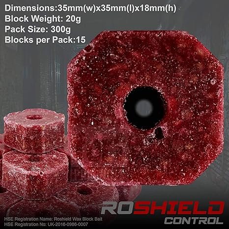 98725557 913c 4cf3 be2a 7c9216909063. CR0,0,1464,600 PT0 SX1464 V1