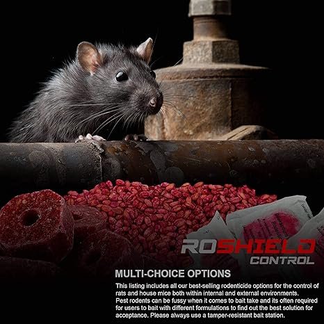 c3d9e6a9 85b4 44ac b729 071b9553b4a1. CR0,0,1464,600 PT0 SX1464 V1