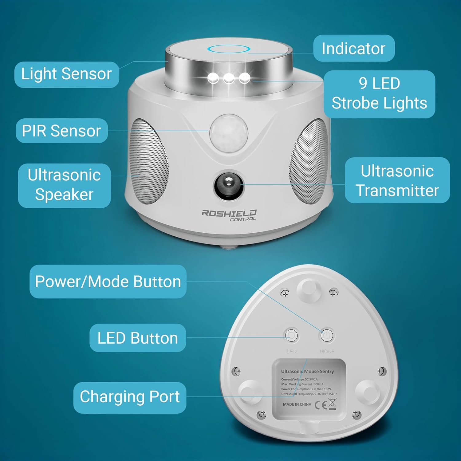 98725557 913c 4cf3 be2a 7c9216909063. CR0,0,1464,600 PT0 SX1464 V1